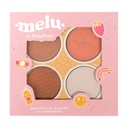 Blush Palette Melu